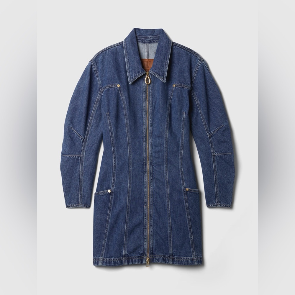 GAP X Cult Gaia Denim Zip-Up Dress